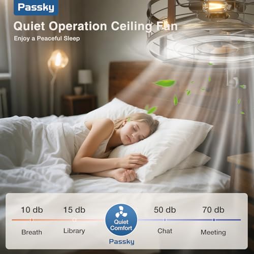 Image of Passky 20 Inch Farmhouse Caged Ceiling Fans with Lights and Remote, Black Downrod Mount Bladeless Fandelier, 6 Speeds Bladeless Ceiling Fan Light for Bedroom, Kitchen, Living Room, Indoor