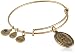 Alex and Ani Pineapple II Expandable Rafaelian Gold Bangle Bracelet
