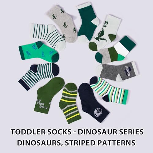 Image of 12 Pairs Boys Dinosaur Crew Socks, Toddler Novelty Socks Ages 1-7