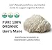 Jetsu Lions Mane Mushroom Powder, Organic, Vegan, Non-GMO Extract Supplement. Nootropic to Support Brain Health, Boost Neuron Growth and Your Immune System for Clarity and Focus. (227g)