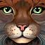 Jewel Eyes | Pure Jade