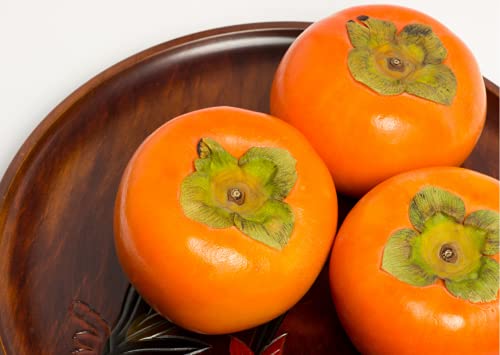American Persimmon Seeds for Planting Outdoors, 50 Seeds Non GMO - Thumbnail 4