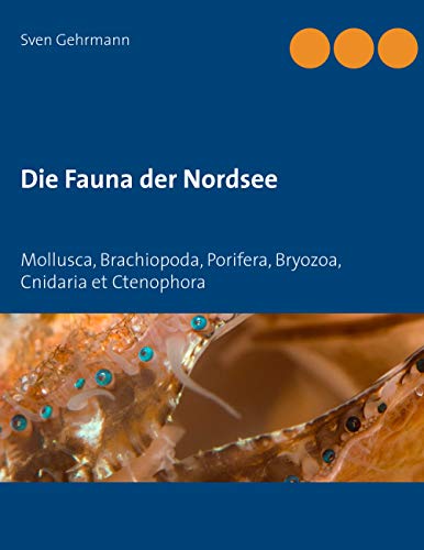 Die Fauna der Nordsee: Mollusca, Brachiopoda, Porifera, Bryozoa, Cnidaria et Ctenophora