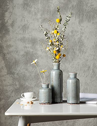 Cwlwgo- Ceramic Rustic Vintage Vase, Boho Vases For Room Décor, 3 Piece Set Of Glazed Decorative Vase Table Décor,Cottagecore Décor. (Grey Blue) #TOP5