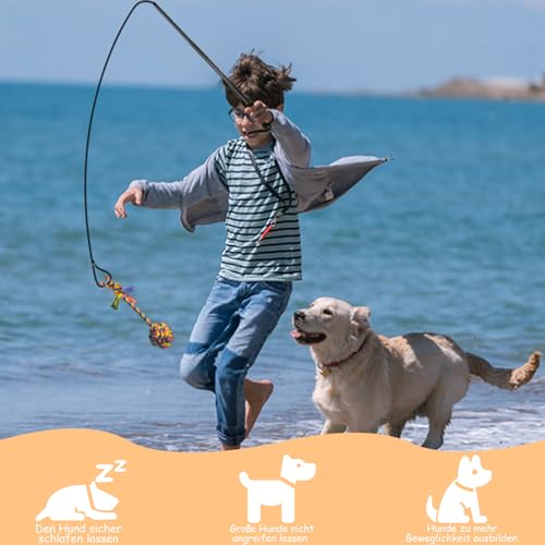 Aitmexcn Reizangel Hund, Eizangel Hunde Martin Rütter, Ausziehbar Robuste Flirt Pole für Kleine & Große Hunde und Katzen - Robuste & Leichte