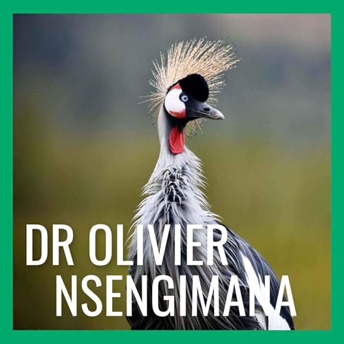 Grey Crowned Cranes Make a Comeback in Rwanda