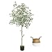 Joyplants Artificial Eucalyptus Tree 6ft Tall, Modern Fake Silver Dollar Leaves Plastic Plants for Home Decor Indoor Outdoor Garden Decor, Faux Tree with Basket