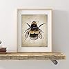 Bumblebee Aquarel Schilderij Print Insect Natuur Boerderij Muur Kunst Foto Entomologie Poster Kinderkamer Decor 40x60cm…