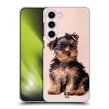 Copyright:Yorkshire Terrier cucciolo - Pelevina Ksinia/Shutterstock