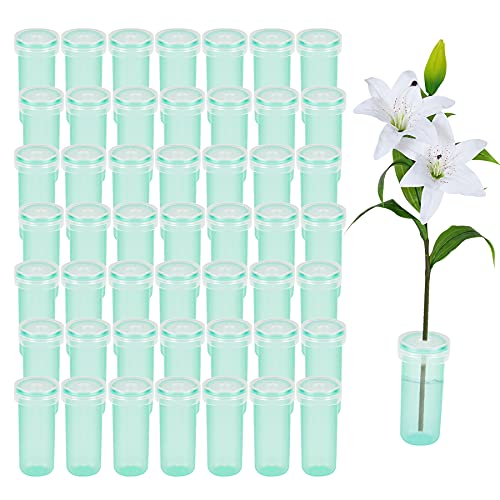 Dreamark Lot de 50 tubes à essai pour fleurs - Avec capuchon - Vert - 4 cm de long Cover