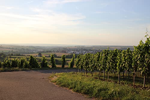 WZG Editon LIFE Beerus Qualitätswein 0,75l süß