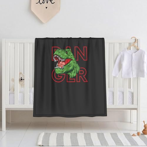 xr[ѕz  tFCX p r[uuPbg |ѕz  uPbg ^IPbg ʋC q ۈ牀 [΍ GARpi lGʗp ?蕨 150X200cm