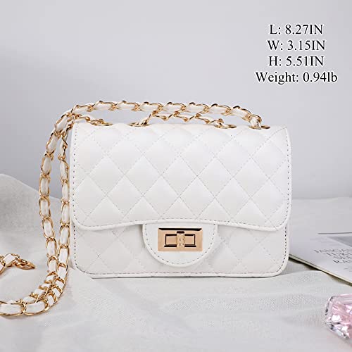 Designer Handbags Small Crossbody Bags Clutch Leather Quilted Purse for Women2
