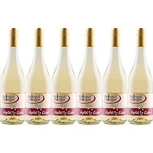 Ebinger Apfel Cider 2019 (6 x 0.75 l)
