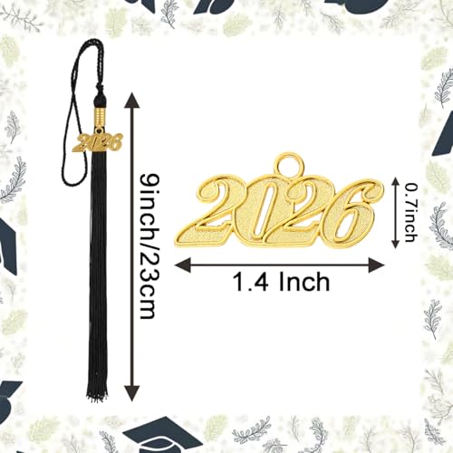 Image of 10 Pieces 2026 Graduation Tassels Bulk with Gold Year Charms for Graduation Cap Accessories (Black)