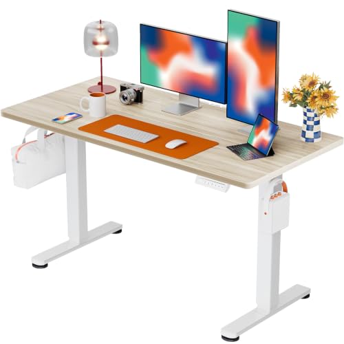 Image of ErGear 48 X 24 Inch Height Adjustable Electric Standing Desk, Natural