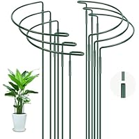 OFFCUP Estacas Soportes para Plantas, 6PCS 20x35cm Tutor