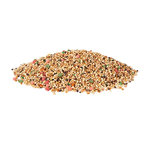 Wild Harvest Daily Blend For Parakeet, Canary, Finch & Small Birds 2Lb #TOP3