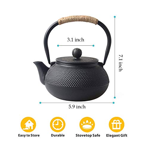 HwaGui - Cast Iron Teapot with Stainless Steel Infuser,27 Ounce HwaGui - Cast Iron Teapot with Stainless Steel Infuser,27 Ounce