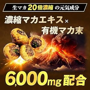 Amazon | ペプチア 3.0 ステロンパワー サプリメント 現役専門医 Amazon | ペプチア 3.0 ステロンパワー サプリメント 現役専門医