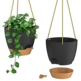 ZMTECH 8 Inch Hanging...