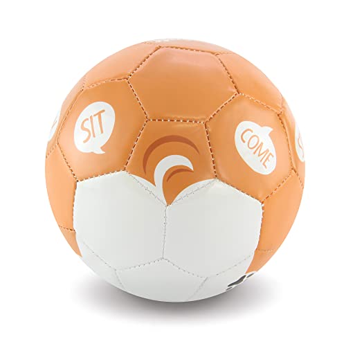 Daball Kid And Toddler Soccer Ball - Size 1, Pump And Gift Box Included (Cookie, The Corgi) #TOP1