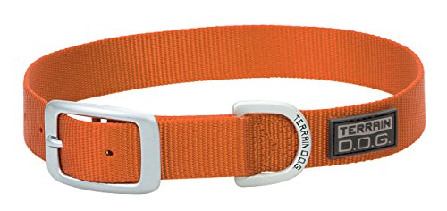 Collar para perro de nylon single-ply Terrain D.O.G