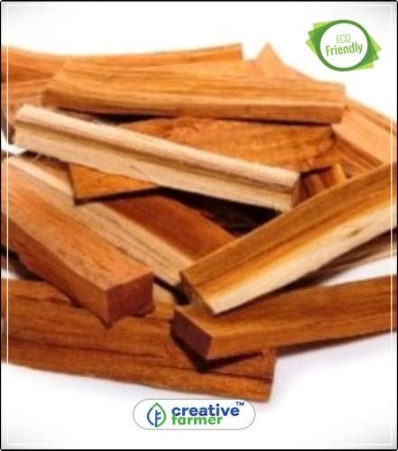 Pinkdose Tree Seeds Sappan Wood Ornamental Shade Tree Seeds Kitchen Garden Plant Seeds 5Indoor, Outdoor Kitchen Garden Plant Seeds Seed