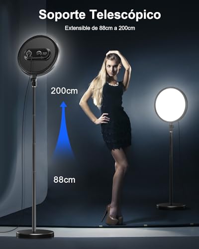 Plafones, Camera Imagen adicional