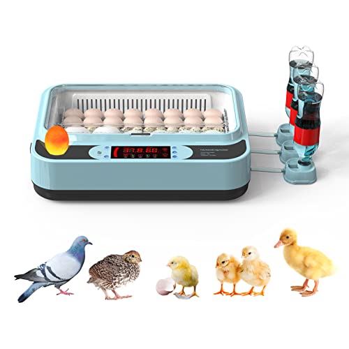 couveuse oeuf automatique couveuse petite incubateur oeuf automatique pour œufs à couver Surveillance automatique de la température Poulet Oie Caille Canard 64 œufs