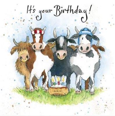 OPEN HAPPY BIRTHDAY Greeting Card Bob The Builder For Him Boy's Any Age