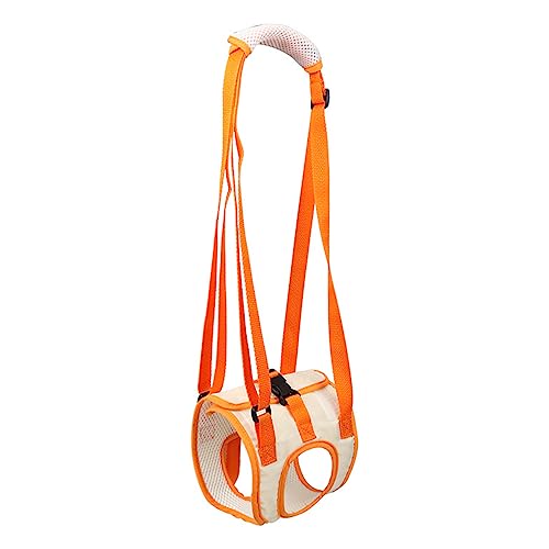 Phantasmia hbOn[lX ybgAVX^Xxg IbNXtH[hNX bVf As⏕ U oR Ki~ V Ή (m)