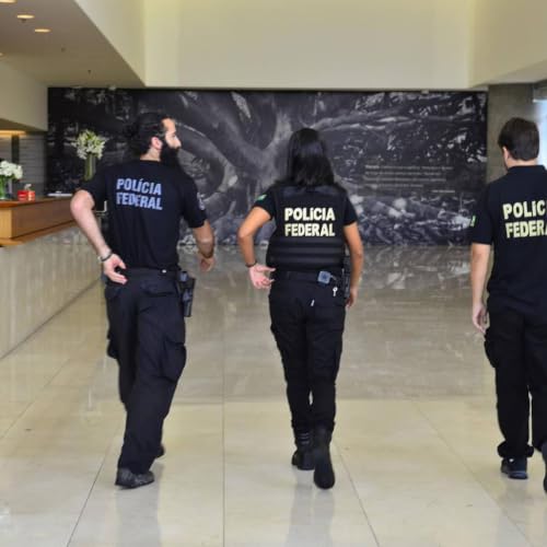 Projetos em Destaque: combate ao crime, apoio &agrave;s m&atilde;es solo e garantia imobili&aacute;ria