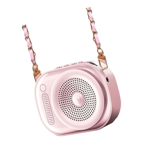 Uqezagpa Salida para altavoz recargable al aire libre, ideal para instructores y guías de viaje para hablar en público