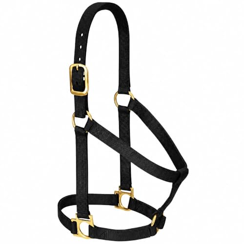 Image of Weaver Leather Basic Non-Adjustable Nylon Horse Halter