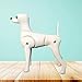 Qianly Hund Körper Modell Hund Mannequin Stehen Position Hund Modell Pet Pflege Hund Modell, Mehrfarbig, Teddy-Hund