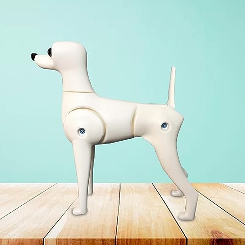 Qianly Hund Körper Modell Hund Mannequin Stehen Position Hund Modell Pet Pflege Hund Modell, Mehrfarbig, Teddy-Hund