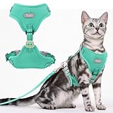 Katzengeschirr und Leine Set Ausbruchsicher, Extre weiches Atmungsaktive Mesh Katzengeschirr für Walking, Einstellbare Reflektierende Katze Weste Geschirr für große kleine Kitten Puppy (Grün, S)