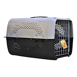 Foodie Puppies Imported Plastic Portable Pet Travel Carrier Cage & Kennel House for Dogs, Puppies & Small Animals (19″ X 12″ X 12″, Neon Grey)