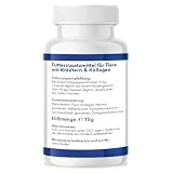 Flohnix Tabletten – Floh und Zeckenschutz für Hunde – Flohtabletten Katzen