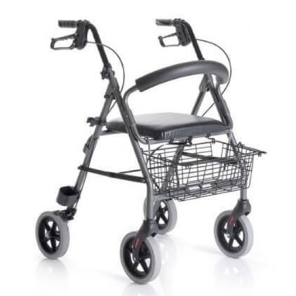 Salute Solare Deambulatore Rollator per anziani, Alluminio,...