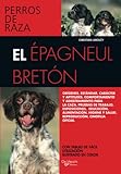  El Épagneul Bretón
