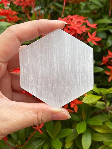 Plato de Selenita Hexagonal de 3" GAF TREASURES miniatura 1