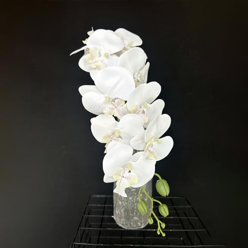 BDHD IWi  u[P ͂Ȃ Flower Ȃ̉ ft@  A[eBtBVt[ ϗtA CeA  H̐F H ̓ v[g _A gt p [J (A01)