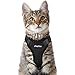 Eagloo Cat Harness Escape Proof Small Cat and Dog Harness Soft Mesh Harness Adjustable Cat Vest Harness with Reflective Strap Metal Clip Cat Walking Jacket Comfort Fit for Kitten Puppy Black Small