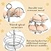 Flexzion Spiral Egg Rack for Fresh Eggs - Sturdy Silver Metal Egg Skelter Countertop Egg Holder with Bottom Basket and 360-Degree Rotatable Middle Pole Up to 36-Egg Capacity, Egg Storage Rack Solution