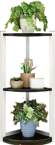 Slystar R[i[bN TChe[u R[i[VFt [I u A u t[X^h  l炵  k  AeB[N ϗtA K[fjO Lb` gC  oRj[ (C) [sAi