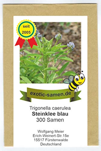 Blauer Steinklee - Schabzieger Klee - Bienenweide - Gewürz- + Arzneipflanze - 300 Samen Blauer Steinklee - Schabzieger Klee - Bienenweide - Gewürz- + Arzneipflanze - 300 Samen