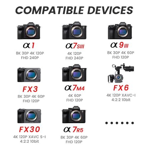 Carte mémoire CFexpress type A 512 Go vidéo RAW 4K Sony FX - 5
