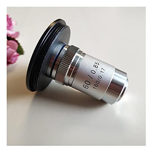 {pANZT[ p20.2mmAM42~ RfW^JɃA~A_v^[O}Eg4{100{ʐF̑ΕY(Ring and 60x lens)